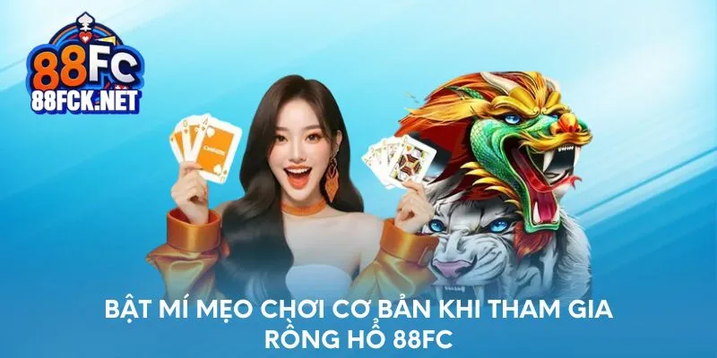 Bật mí mẹo chơi cơ bản khi tham gia Rồng Hổ tại 88FC